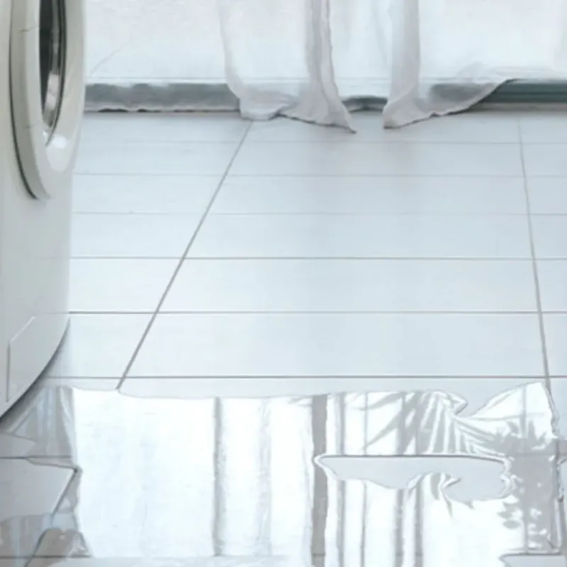 Appliance Leak Cleanup in Plantation, FL