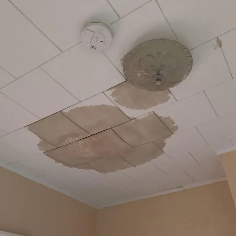 Ceiling Water Damage Repair in Plantation, FL